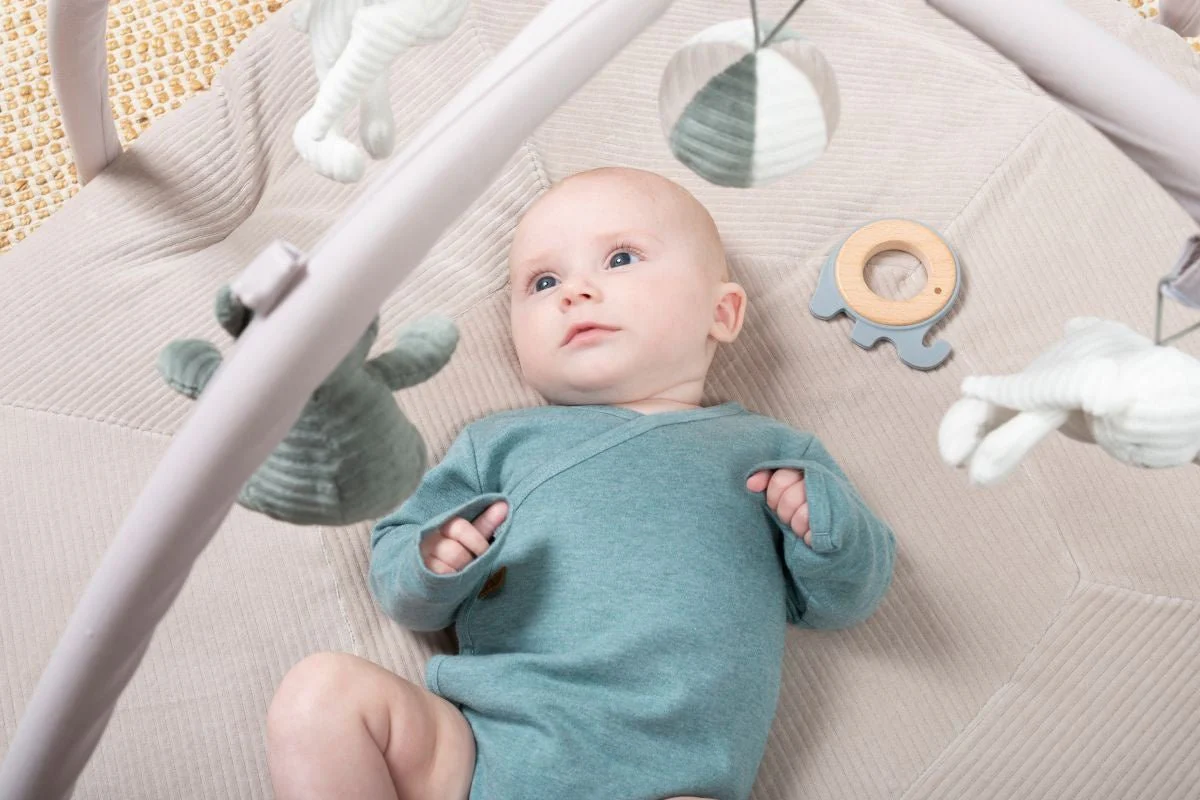 Baby's Only Bijtring Olifant Grijs - Image 8