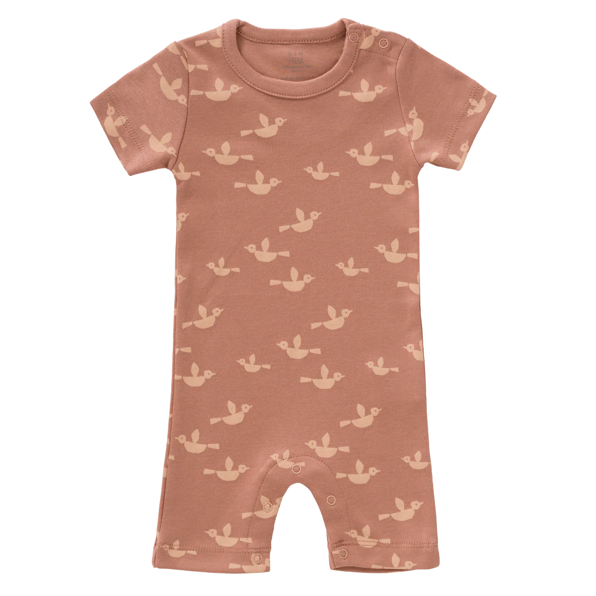 Fresk Boxpakje Bird