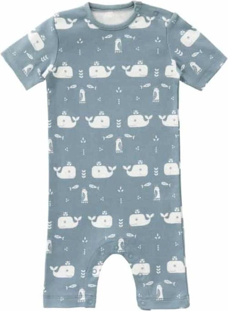 Fresk Boxpakje Whale Blue Fog