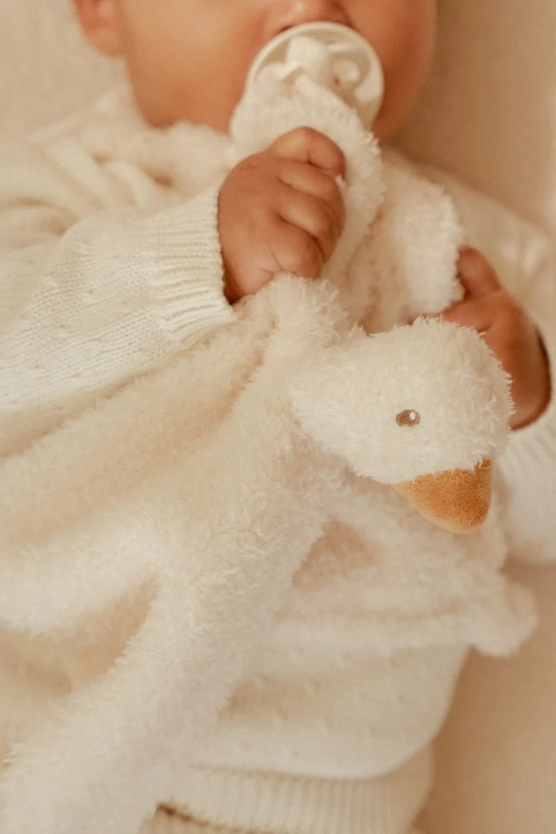 Little Dutch Knuffeldoekje Newborn Little Goose - Image 7