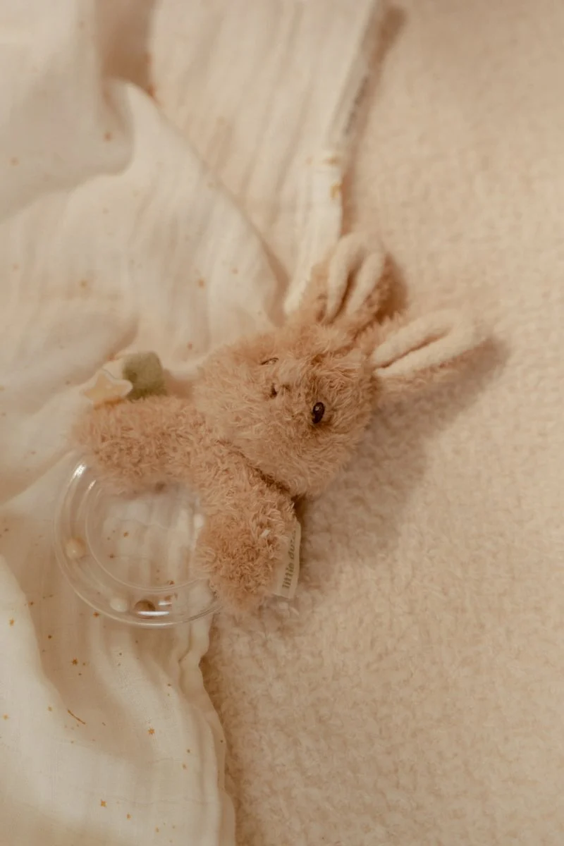 Little Dutch Rammelaar Newborn Bunny - Image 4